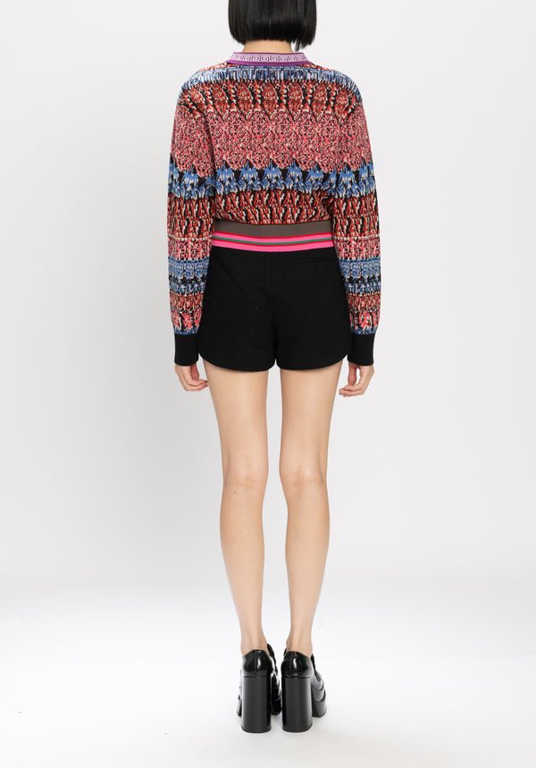 SOLIDARITY STRIPE PRINT JACQUARD SWEATER