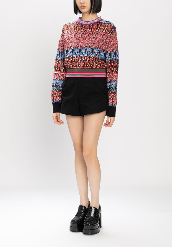 SOLIDARITY STRIPE PRINT JACQUARD SWEATER